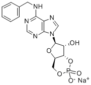 6-BN-CAMP SODIUM SALT Structure