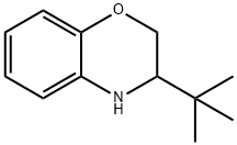 3-(TERT-BUTYL)-3,4-DIHYDRO-2H-1,4-BENZOXAZINE Structure