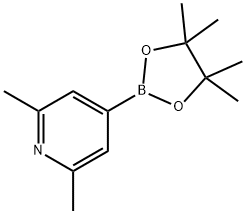 2,6-DIMETHYLPYRIDINE-4-BORONIC ACID, PINACOL ESTER Structure