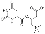 混旋肉碱乳清酸盐, 32543-38-7, 结构式