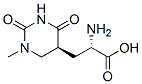 5-Pyrimidinepropanoic acid, alpha-aminohexahydro-1-methyl-2,4-dioxo-, (alphaS,5S)- (9CI) 化学構造式