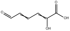 hydroxymuconic semialdehyde 结构式