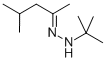 4-メチル-2-ペンタノンtert-ブチルヒドラゾン 化学構造式