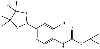 2-Boc-amino-3-chloro-pyridine-5-boronic acid pinacol ester Struktur