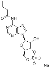 Adenosine, N-(1-oxobutyl)-, cyclic 3',5'-(hydrogen phosphate), sodium salt Struktur