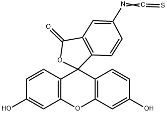 Fluorescein Isothiocyanate Isomer I 3326 32 7