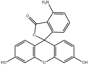 4-アミノ-3',6'-ジヒドロキシスピロ[イソベンゾフラン-1(3H),9'-[9H]キサンテン]-3-オン 化学構造式