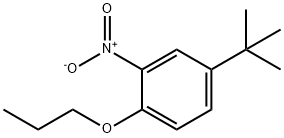 对叔丁基邻硝基苯丙醚, 33353-60-5, 结构式