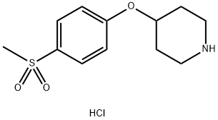 4-[4-(메틸설포닐)페녹시]피페리딘염산염