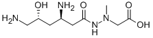 negamycin Structure