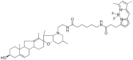 334658-24-1 BODIPYシクロパミン