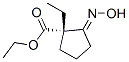 Cyclopentanecarboxylic acid, 1-ethyl-2-(hydroxyimino)-, ethyl ester, (1S)- (9CI) Struktur