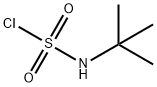 TERT-BUTYLSULFAMOYL CHLORIDE,33581-95-2,结构式