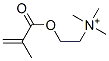 N,N,N-三甲基-2-[(2-甲基-2-丙烯酰)氧]乙胺 结构式