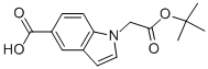 1-(2-TERT-BUTOXY-2-OXOETHYL)-1H-INDOLE-5-CARBOXYLIC ACID|1-(2-TERT-BUTOXY-2-OXOETHYL)-1H-INDOLE-5-CARBOXYLIC ACID