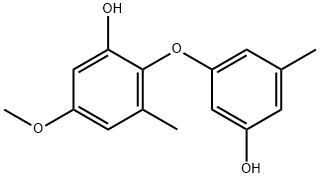 3,5'-Dimethyl-5-methoxy-(2,3'-oxybisphenol)|