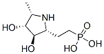 Phosphonic acid, [2-[(2R,3R,4R,5S)-3,4-dihydroxy-5-methyl-2-pyrrolidinyl]ethyl]- (9CI) 化学構造式