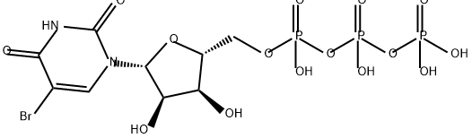 5-bromouridine triphosphate Structure