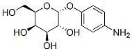 p-아미노페닐-알파-D-갈락토피라노사이드