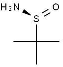 343338-28-3 Synthesisapplications-tert-butyl sulfonamide