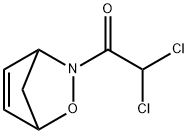 2-Oxa-3-azabicyclo[2.2.1]hept-5-ene, 3-(dichloroacetyl)- (9CI) Structure