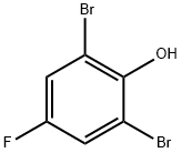 2,6-DIBROMO-4-FLUOROPHENOL|2,6-二溴-4-氟苯酚