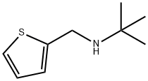 2-Methyl-N-(thiophen-2-ylMethyl)propan-2-aMine|2-甲基-N-(噻吩-2-基甲基)丙-2-胺