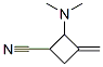 Cyclobutanecarbonitrile, 2-(dimethylamino)-3-methylene- (9CI)|