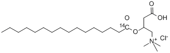 PALMITOYL CARNITINE CHLORIDE, L-, [PALMITOYL-1-14C] 化学構造式