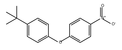 4-NITRO-4'-T-BUTYL DIPHENYL ETHER 化学構造式