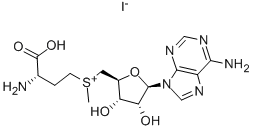 S-ADENOSYL-L-METHIONINE IODIDE SALT