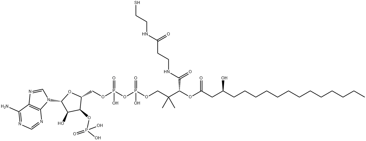 S-[2-[3-[[4-[[[(2R,3S,4R,5R)-5-(6-aminopurin-9-yl)-4-hydroxy-3-phosphonooxyoxolan-2-yl]methoxy-hydroxyphosphoryl]oxy-hydroxyphosphoryl]oxy-2-hydroxy-3,3-dimethylbutanoyl]amino]propanoylamino]ethyl] (3S)-3-hydroxyhexadecanethioate Struktur