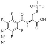 4-Azido-2,3,5,6-tetrafluorobenzamidocysteine Methanethiosulfonate Structure