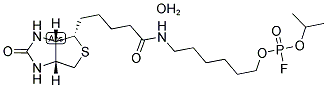 353754-93-5 ホスホロフロリジル酸6-N-ビオチニルアミノヘキシルイソプロピル, 0.5水和物