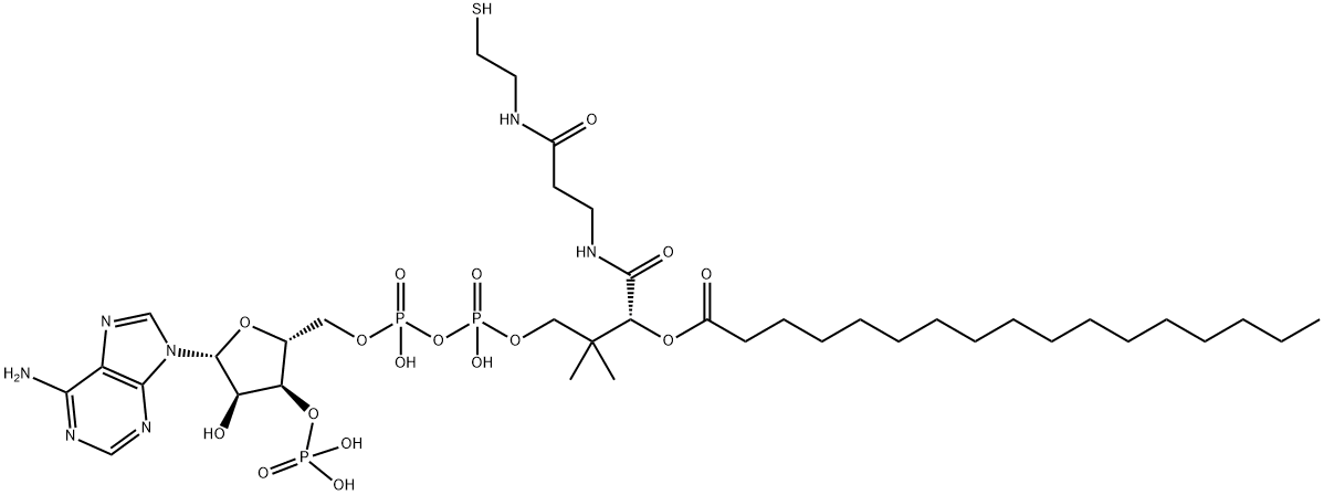 N-HEPTADECANOYL COENZYME A LITHIUM SALT|十七酰辅酶A