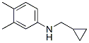 Benzenamine, N-(cyclopropylmethyl)-3,4-dimethyl- (9CI) Structure