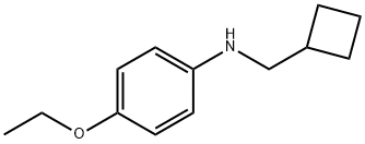 Benzenamine, N-(cyclobutylmethyl)-4-ethoxy- (9CI),356539-68-9,结构式
