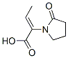 1-Pyrrolidineaceticacid,alpha-ethylidene-2-oxo-,(alphaZ)-(9CI) 化学構造式