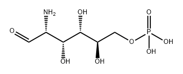 D-GLUCOSAMINE 6-PHOSPHATE