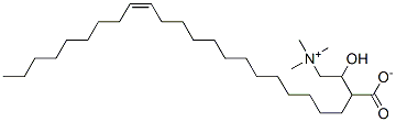 erucylcarnitine 化学構造式