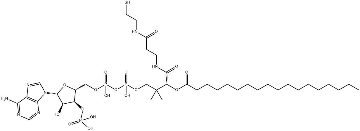 硬脂酰辅酶A, 362-66-3, 结构式