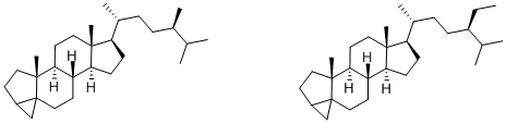 36545-67-2 (24R)-24-METHYL-3,5-CYCLOCHOLESTANE AND (24R)-24-ETHYL-3,5-CYCLOCHOLESTANE