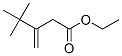 4,4-Dimethyl-3-methylenepentanoic acid ethyl ester Struktur