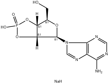 ADENOSINE-2':3'-CYCLIC MONOPHOSPHATE, SODIUM SALT Struktur