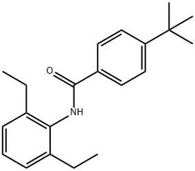 AURORA 10219 Structure