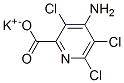 4-Amino-3,5,6-trichloropicolinic acid potassium salt 结构式
