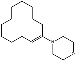 3725-39-1 1-吗啉-1-环十二烷烯