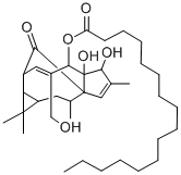 1H-2,8a-Methanocyclopenta(a)cyclopropa(e)cyclodecen-11-one, 2,5,5a,6,9 ,10,10a,1a-octahydro-4-hydroxymethyl-1,1,7,9-tetramethyl-5,5a,6-trihyd roxy-, 5-hexadecanoate 化学構造式