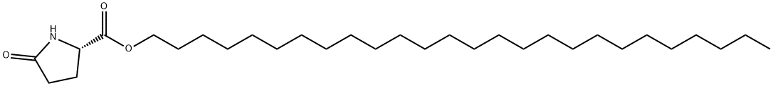 5-オキソ-L-プロリンヘキサコシル 化学構造式