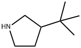 3-TERT-BUTYLPYRROLIDINE 结构式